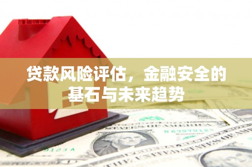 临海贷款风险评估，金融安全的基石与未来趋势