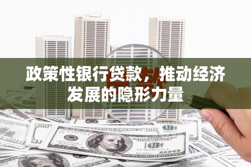 临海政策性银行贷款，推动经济发展的隐形力量