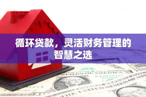 临海循环贷款，灵活财务管理的智慧之选