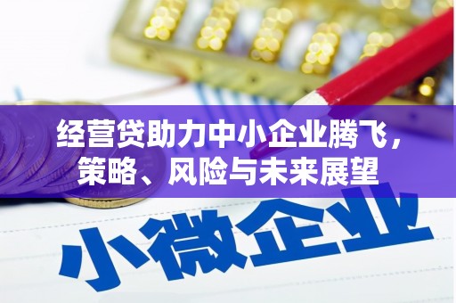 临海经营贷助力中小企业腾飞，策略、风险与未来展望