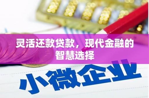 临海灵活还款贷款，现代金融的智慧选择