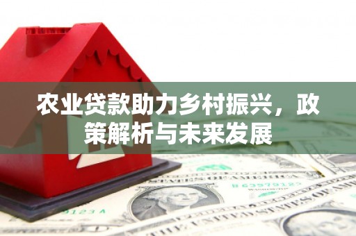 临海农业贷款助力乡村振兴，政策解析与未来发展