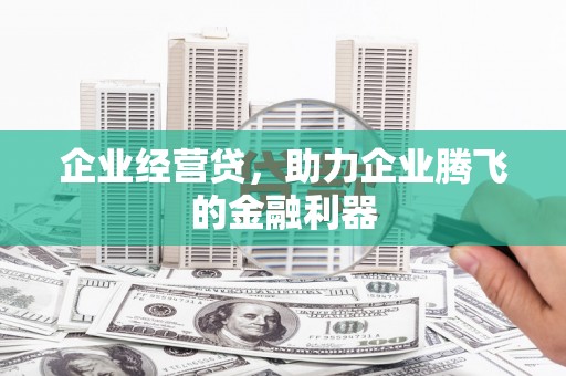 临海企业经营贷，助力企业腾飞的金融利器
