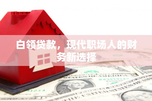 临海白领贷款，现代职场人的财务新选择