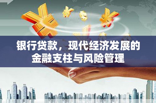 临海银行贷款，现代经济发展的金融支柱与风险管理