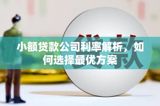 临海小额贷款公司利率解析，如何选择最优方案