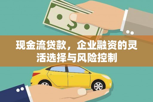 临海现金流贷款，企业融资的灵活选择与风险控制