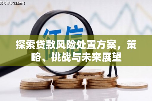 临海探索贷款风险处置方案，策略、挑战与未来展望