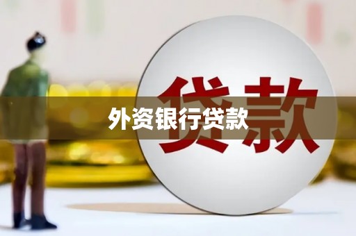 临海外资银行贷款