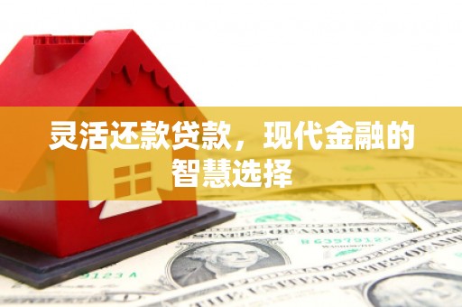 临海灵活还款贷款，现代金融的智慧选择
