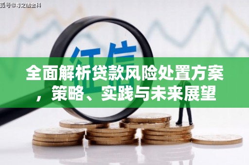临海全面解析贷款风险处置方案，策略、实践与未来展望