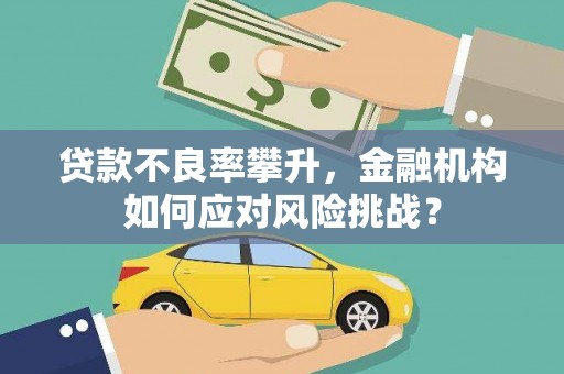 临海贷款不良率攀升，金融机构如何应对风险挑战？