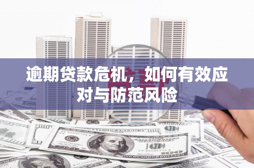 临海逾期贷款危机，如何有效应对与防范风险