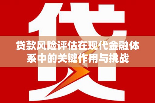 临海贷款风险评估在现代金融体系中的关键作用与挑战
