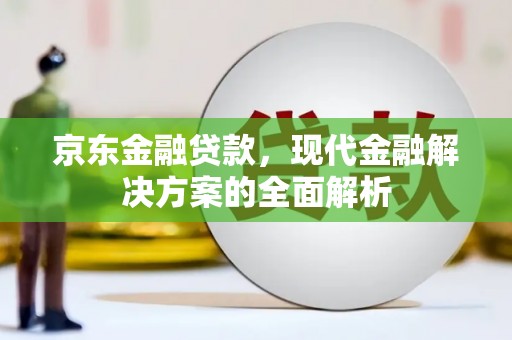 临海京东金融贷款，现代金融解决方案的全面解析