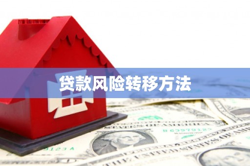 临海贷款风险转移方法