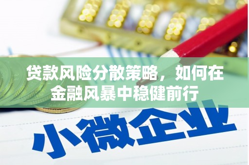 临海贷款风险分散策略，如何在金融风暴中稳健前行