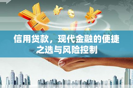 临海信用贷款，现代金融的便捷之选与风险控制