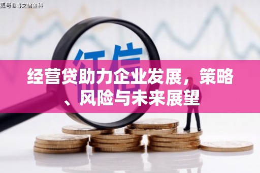 临海经营贷助力企业发展，策略、风险与未来展望