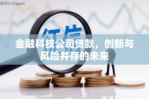 临海金融科技公司贷款，创新与风险并存的未来