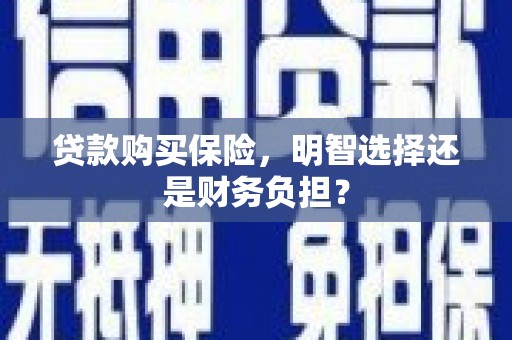 临海贷款购买保险，明智选择还是财务负担？