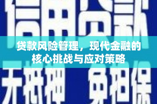 临海贷款风险管理，现代金融的核心挑战与应对策略