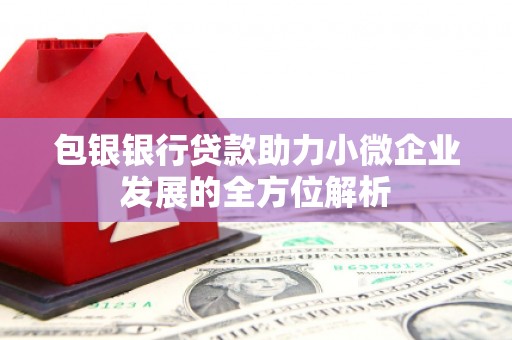 临海包银银行贷款助力小微企业发展的全方位解析