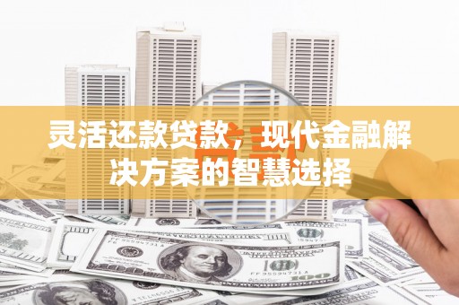 临海灵活还款贷款，现代金融解决方案的智慧选择