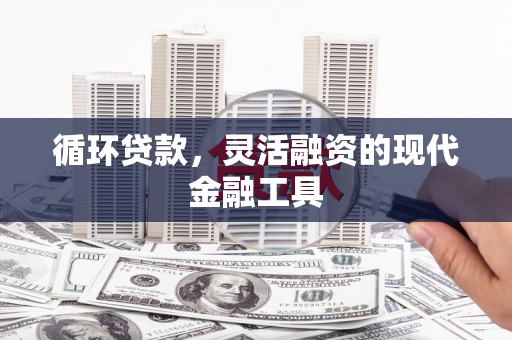 临海循环贷款，灵活融资的现代金融工具