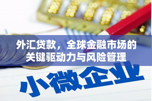 临海外汇贷款，全球金融市场的关键驱动力与风险管理
