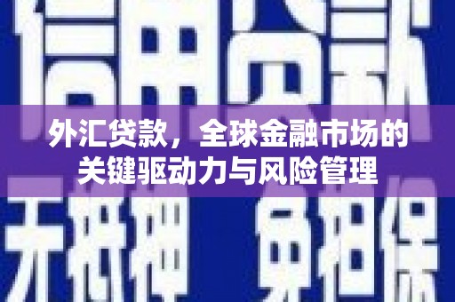 临海外汇贷款，全球金融市场的关键驱动力与风险管理