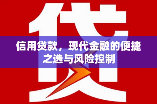 临海信用贷款，现代金融的便捷之选与风险控制