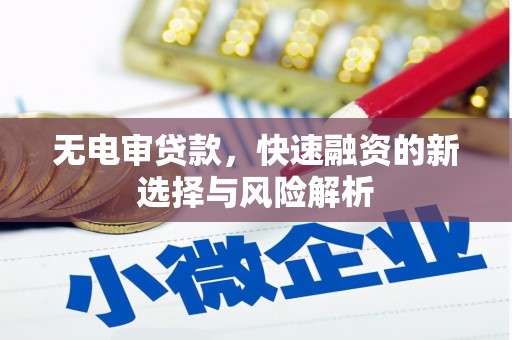 临海无电审贷款，快速融资的新选择与风险解析
