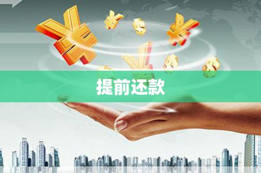 临海提前还款