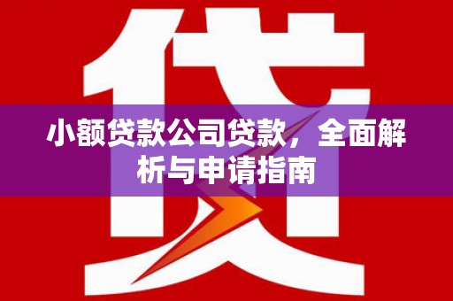 临海小额贷款公司贷款，全面解析与申请指南