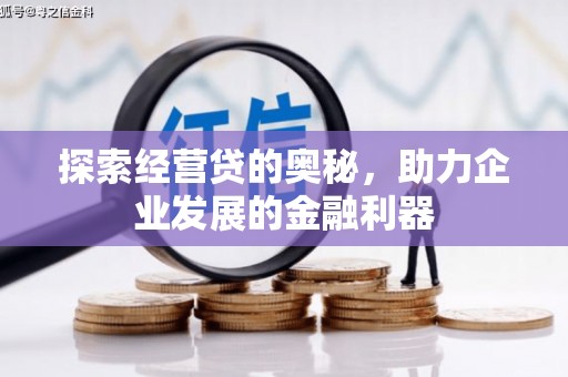 临海探索经营贷的奥秘，助力企业发展的金融利器
