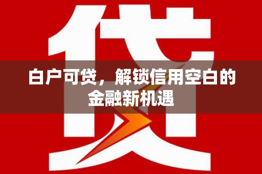 临海白户可贷，解锁信用空白的金融新机遇