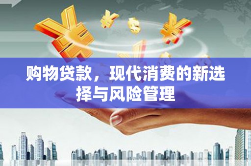 临海购物贷款，现代消费的新选择与风险管理
