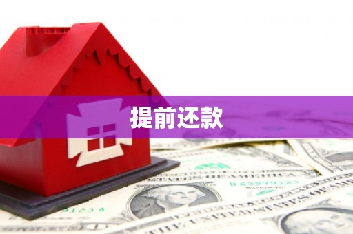 临海提前还款