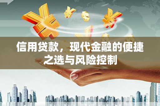 临海信用贷款，现代金融的便捷之选与风险控制