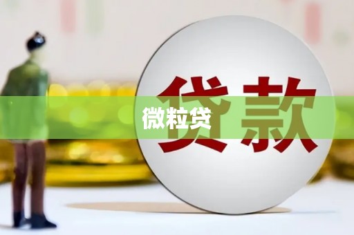 临海微粒贷