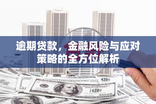 临海逾期贷款，金融风险与应对策略的全方位解析
