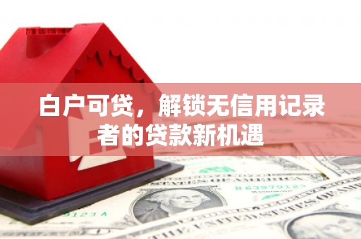 临海白户可贷，解锁无信用记录者的贷款新机遇