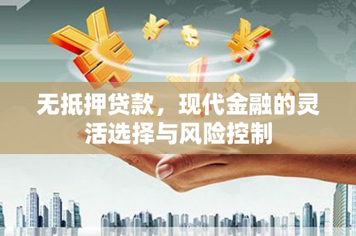 临海无抵押贷款，现代金融的灵活选择与风险控制