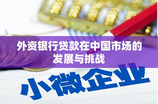 临海外资银行贷款在中国市场的发展与挑战