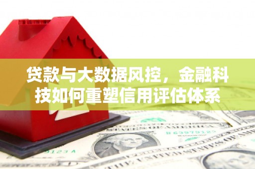 临海贷款与大数据风控，金融科技如何重塑信用评估体系