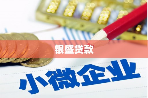 临海银盛贷款