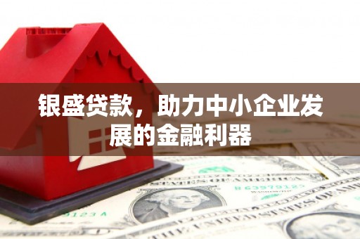 临海银盛贷款，助力中小企业发展的金融利器