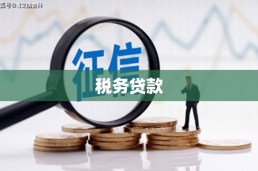 临海税务贷款