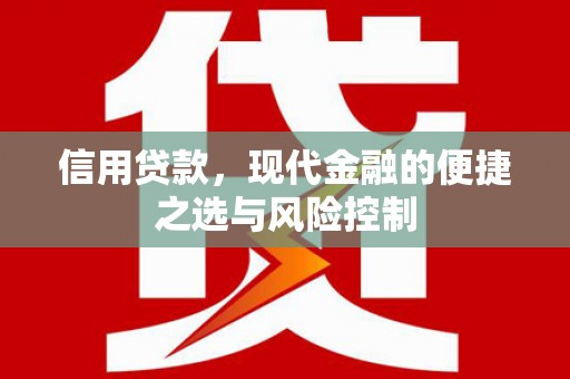 临海信用贷款，现代金融的便捷之选与风险控制